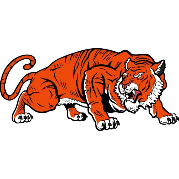 tiger18v4clr Thumbnail